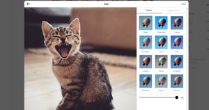Applying a filter to an Instagram photo